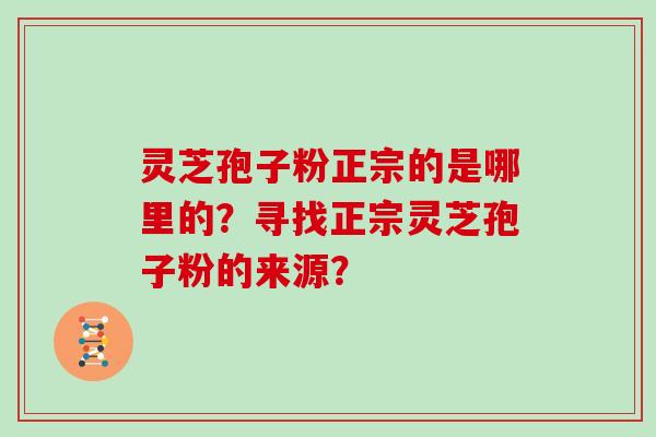 灵芝孢子粉正宗的是哪里的？寻找正宗灵芝孢子粉的来源？