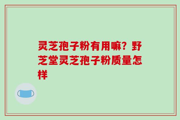 灵芝孢子粉有用嘛？野芝堂灵芝孢子粉质量怎样