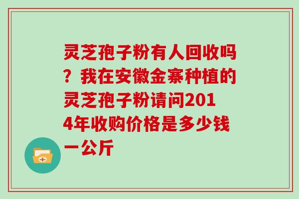 灵芝孢子粉有人回收吗？我在安徽金寨种植的灵芝孢子粉请问2014年收购价格是多少钱一公斤