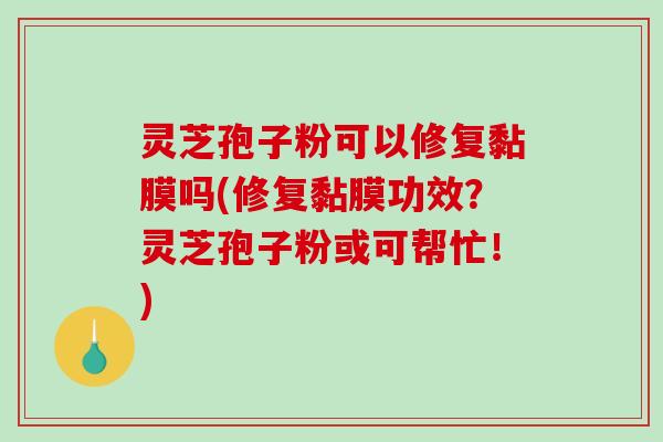 灵芝孢子粉可以修复黏膜吗(修复黏膜功效？灵芝孢子粉或可帮忙！)