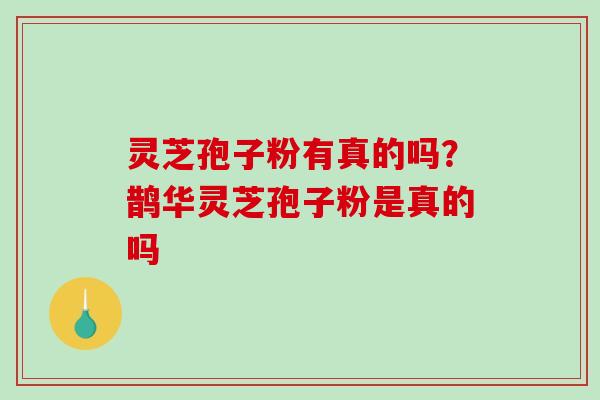 灵芝孢子粉有真的吗？鹊华灵芝孢子粉是真的吗