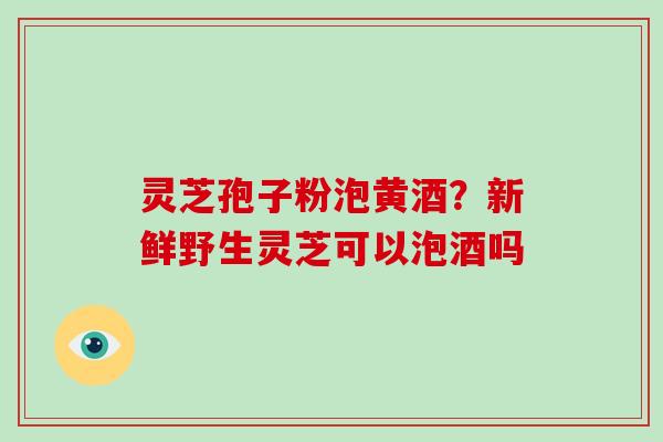 灵芝孢子粉泡黄酒？新鲜野生灵芝可以泡酒吗