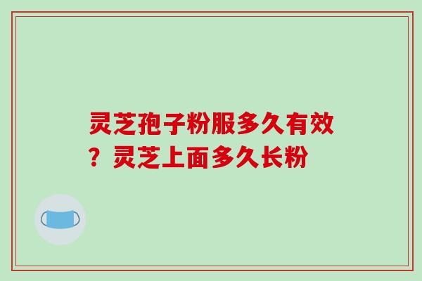 灵芝孢子粉服多久有效？灵芝上面多久长粉