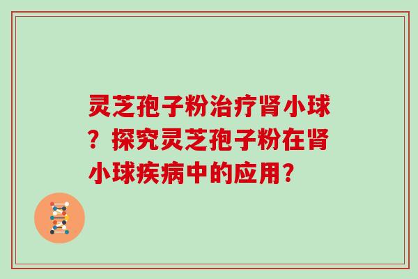 灵芝孢子粉小球？探究灵芝孢子粉在小球中的应用？