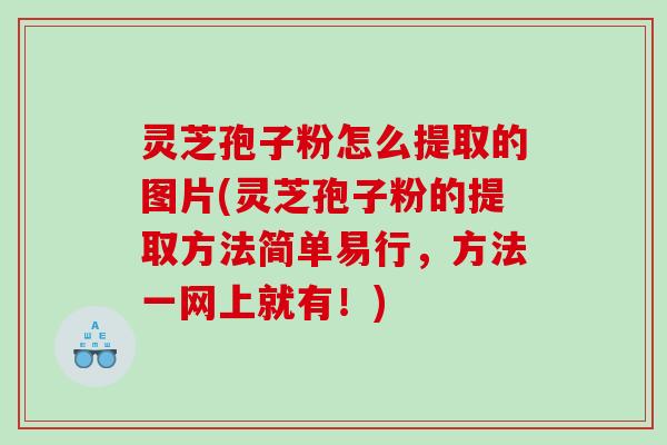 灵芝孢子粉怎么提取的图片(灵芝孢子粉的提取方法简单易行，方法一网上就有！)