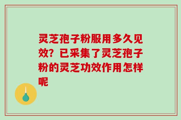 灵芝孢子粉服用多久见效？已采集了灵芝孢子粉的灵芝功效作用怎样呢