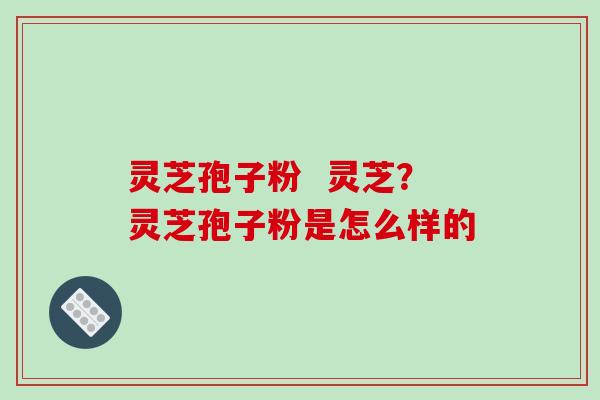 灵芝孢子粉  灵芝？灵芝孢子粉是怎么样的