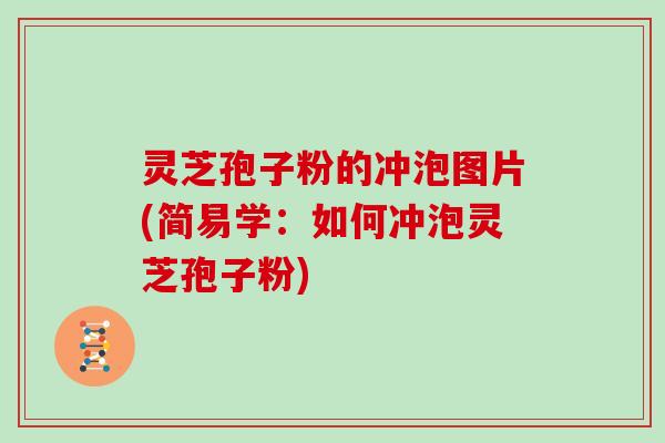灵芝孢子粉的冲泡图片(简易学：如何冲泡灵芝孢子粉)
