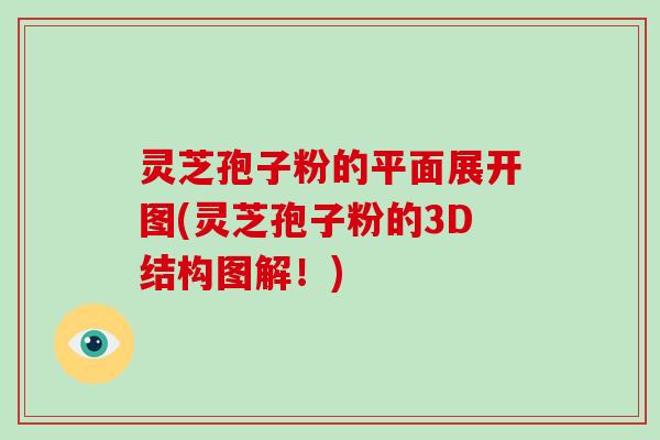 灵芝孢子粉的平面展开图(灵芝孢子粉的3D结构图解！)