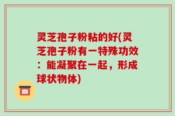 灵芝孢子粉粘的好(灵芝孢子粉有一特殊功效：能凝聚在一起，形成球状物体)