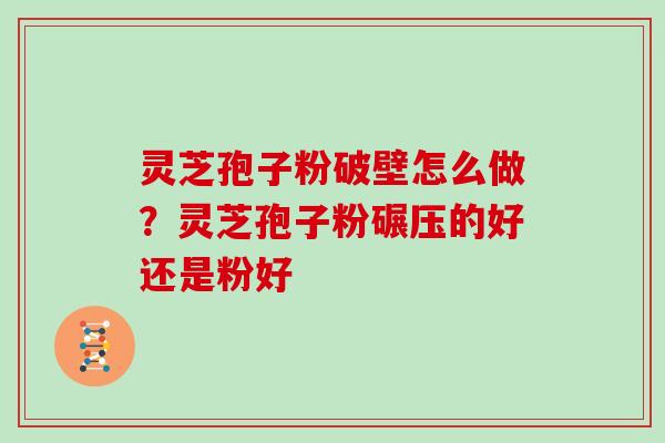 灵芝孢子粉破壁怎么做？灵芝孢子粉碾压的好还是粉好