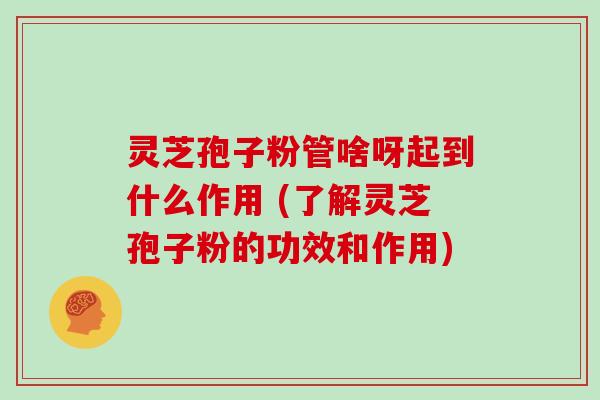 灵芝孢子粉管啥呀起到什么作用 (了解灵芝孢子粉的功效和作用)