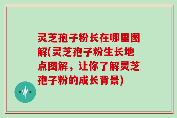灵芝孢子粉长在哪里图解(灵芝孢子粉生长地点图解，让你了解灵芝孢子粉的成长背景)