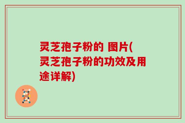 灵芝孢子粉的 图片(灵芝孢子粉的功效及用途详解) 灵芝孢子粉的 图片(灵芝孢子粉的功效及用途详解)