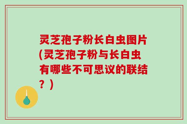 灵芝孢子粉长白虫图片(灵芝孢子粉与长白虫有哪些不可思议的联结?) 灵芝孢子粉长白虫图片(灵芝孢子粉与长白虫有哪些不可思议的联结?)