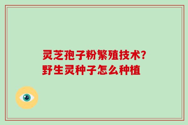 灵芝孢子粉繁殖技术?野生灵种子怎么种植 灵芝孢子粉繁殖技术?野生灵种子怎么种植