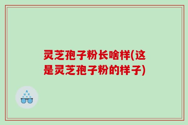 灵芝孢子粉长啥样(这是灵芝孢子粉的样子)