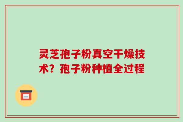 灵芝孢子粉真空干燥技术？孢子粉种植全过程