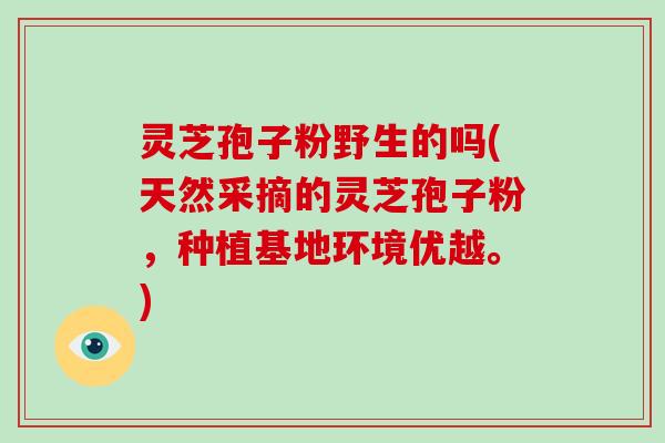 灵芝孢子粉野生的吗(天然采摘的灵芝孢子粉，种植基地环境优越。)
