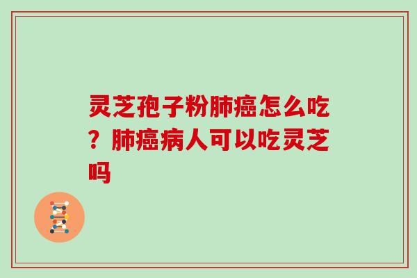 灵芝孢子粉怎么吃？人可以吃灵芝吗