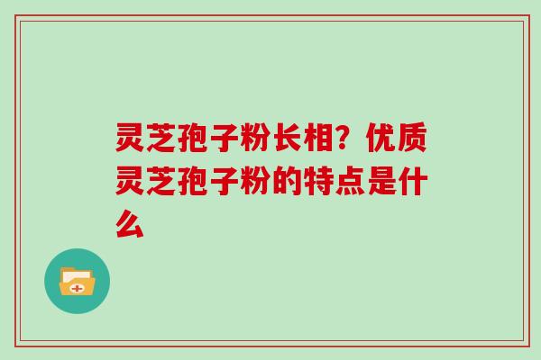 灵芝孢子粉长相？优质灵芝孢子粉的特点是什么
