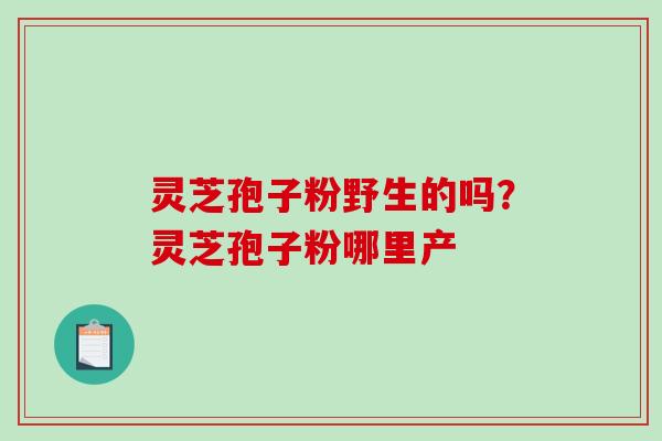 灵芝孢子粉野生的吗？灵芝孢子粉哪里产