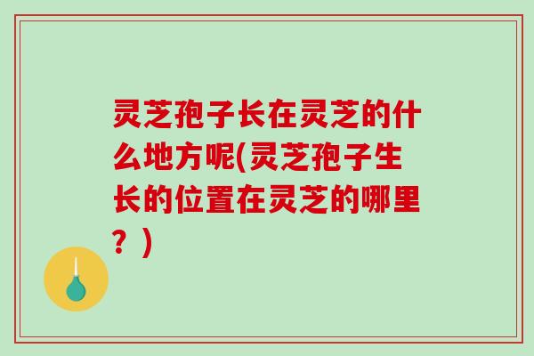 灵芝孢子长在灵芝的什么地方呢(灵芝孢子生长的位置在灵芝的哪里？)