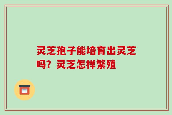 灵芝孢子能培育出灵芝吗？灵芝怎样繁殖