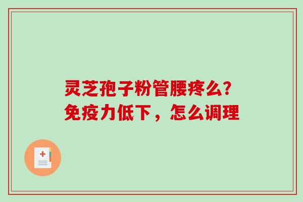 灵芝孢子粉管腰疼么？免疫力低下，怎么调理