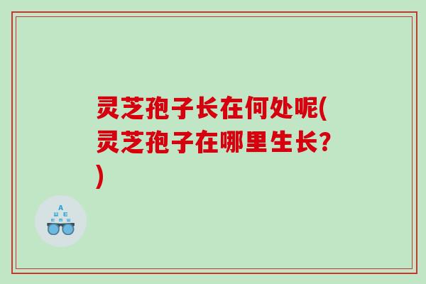 灵芝孢子长在何处呢(灵芝孢子在哪里生长？)