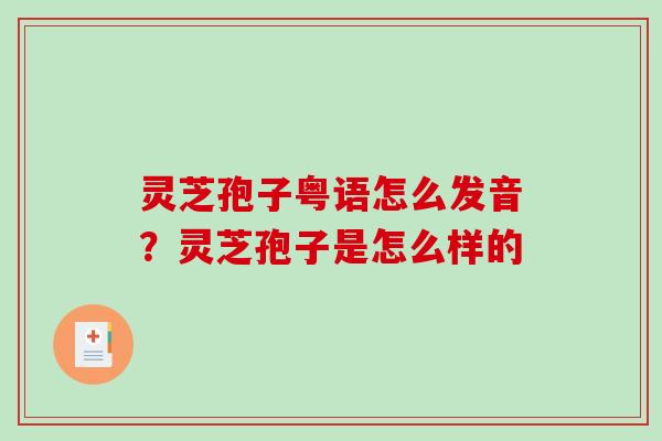 灵芝孢子粤语怎么发音？灵芝孢子是怎么样的