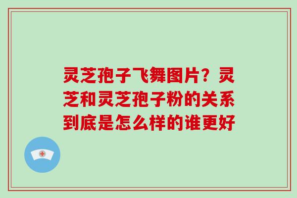 灵芝孢子飞舞图片？灵芝和灵芝孢子粉的关系到底是怎么样的谁更好