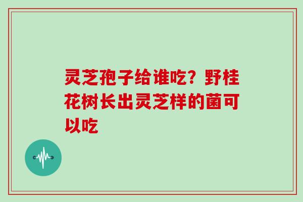 灵芝孢子给谁吃?野桂花树长出灵芝样的菌可以吃 灵芝孢子给谁吃?野桂花树长出灵芝样的菌可以吃
