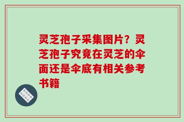 灵芝孢子采集图片?灵芝孢子究竟在灵芝的伞面还是伞底有相关参考书籍 灵芝孢子采集图片?灵芝孢子究竟在灵芝的伞面还是伞底有相关参考书籍