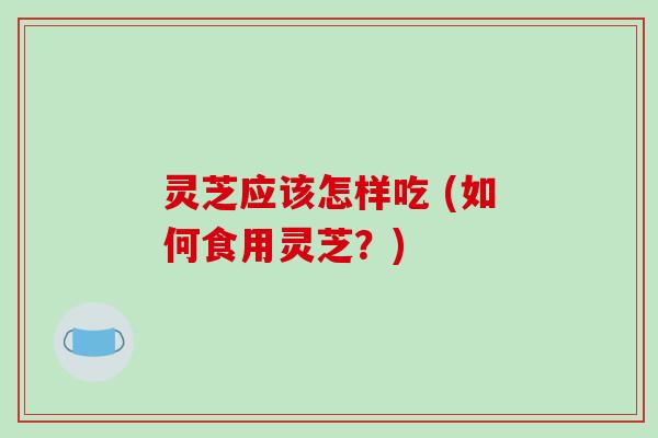 灵芝应该怎样吃 (如何食用灵芝?) 灵芝应该怎样吃 (如何食用灵芝?)