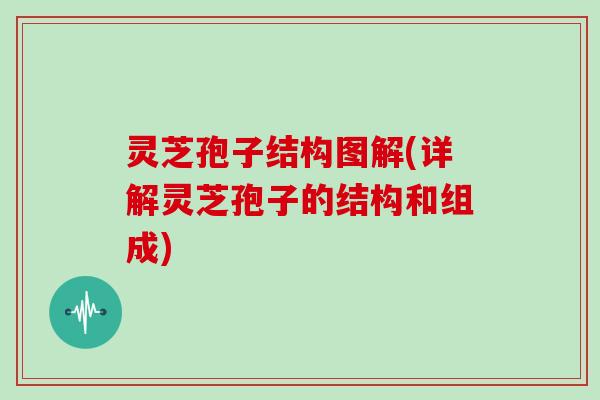 灵芝孢子结构图解(详解灵芝孢子的结构和组成)