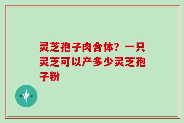 灵芝孢子肉合体？一只灵芝可以产多少灵芝孢子粉