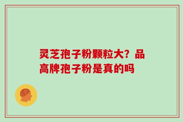 灵芝孢子粉颗粒大?品高牌孢子粉是真的吗 灵芝孢子粉颗粒大?品高牌孢子粉是真的吗