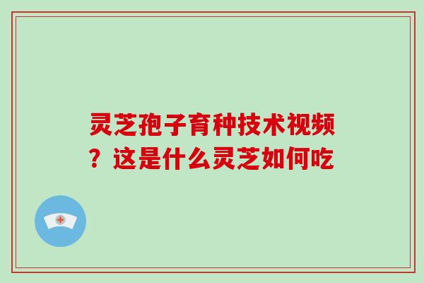 灵芝孢子育种技术视频？这是什么灵芝如何吃