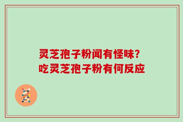 灵芝孢子粉闻有怪味？吃灵芝孢子粉有何反应