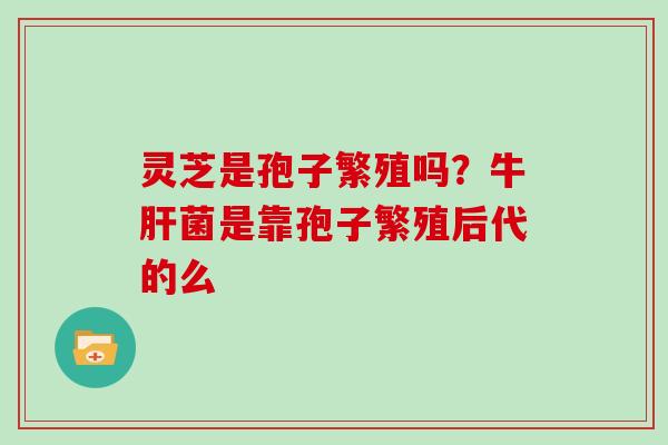 灵芝是孢子繁殖吗？牛菌是靠孢子繁殖后代的么