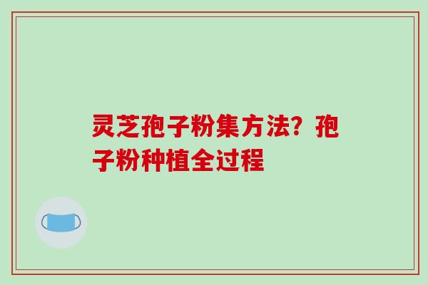灵芝孢子粉集方法？孢子粉种植全过程