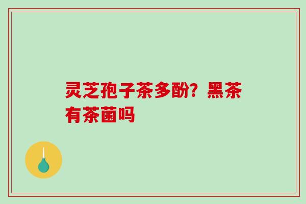 灵芝孢子茶多酚？黑茶有茶菌吗