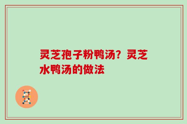 灵芝孢子粉鸭汤？灵芝水鸭汤的做法