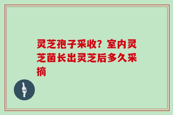 灵芝孢子采收?室内灵芝菌长出灵芝后多久采摘 灵芝孢子采收?室内灵芝菌长出灵芝后多久采摘