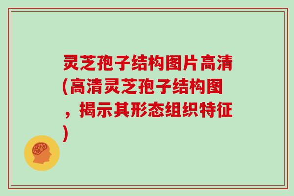 灵芝孢子结构图片高清(高清灵芝孢子结构图，揭示其形态组织特征)