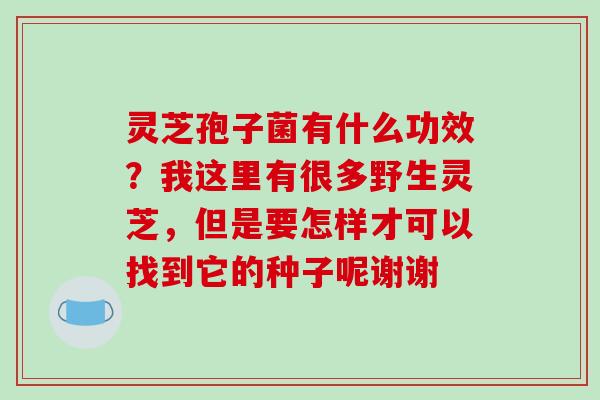 灵芝孢子菌有什么功效？我这里有很多野生灵芝，但是要怎样才可以找到它的种子呢谢谢
