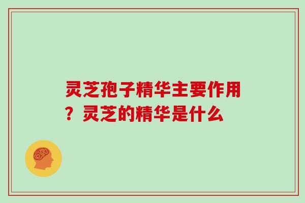 灵芝孢子精华主要作用?灵芝的精华是什么 灵芝孢子精华主要作用?灵芝的精华是什么