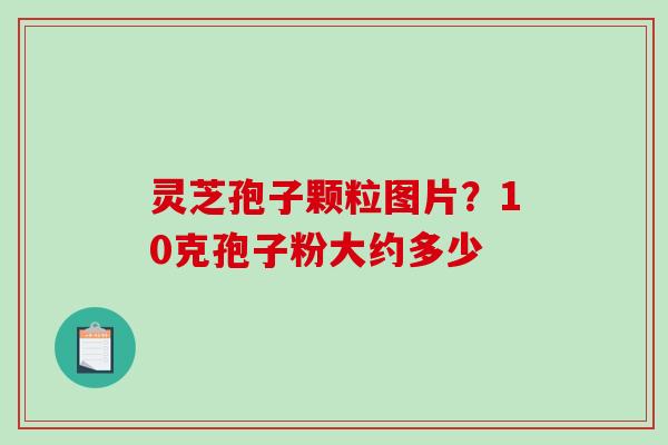 灵芝孢子颗粒图片?10克孢子粉大约多少 灵芝孢子颗粒图片?10克孢子粉大约多少