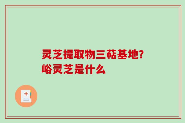 灵芝提取物三萜基地？峪灵芝是什么